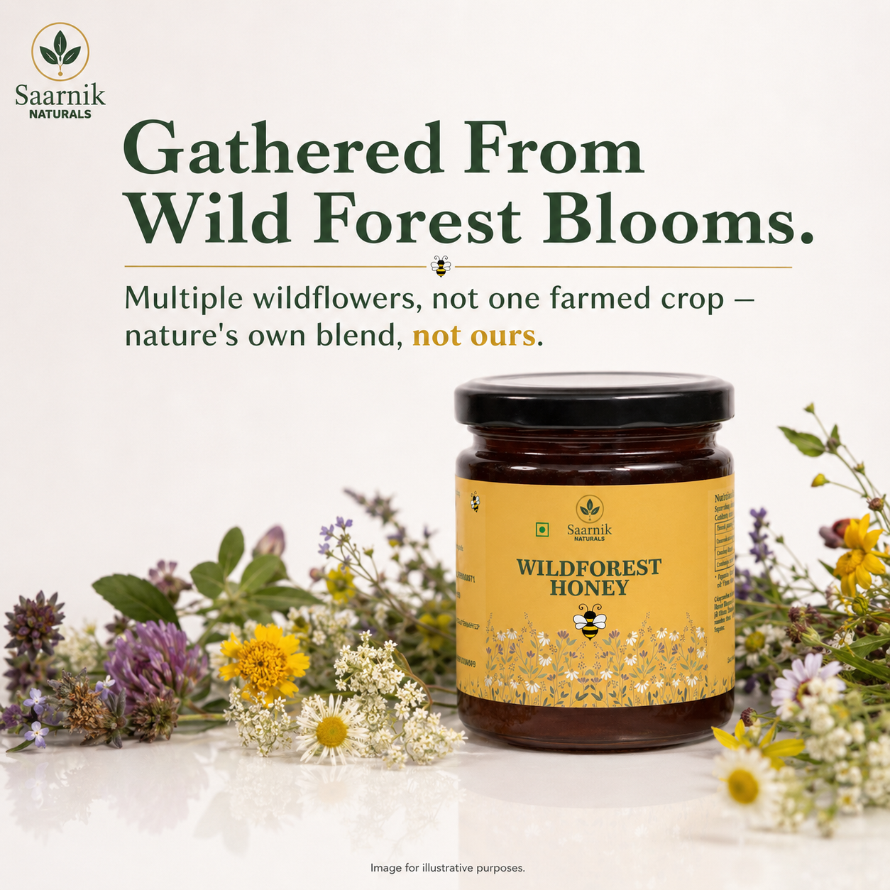 Raw Pure Organic Honey | Wildforest | Affordable 250g by Saarnik Naturals