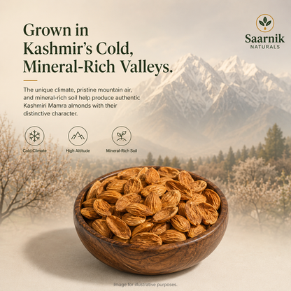 Premium Kashmiri Mamra Almonds | Unpolished Badam for Brain & Heart Health - 250g
