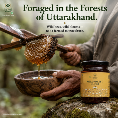 Raw Pure Organic Honey | Wildforest | Affordable 250g by Saarnik Naturals