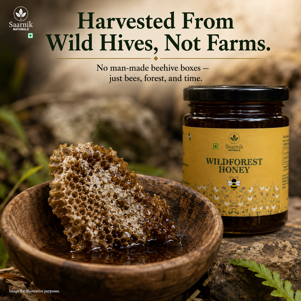 Raw Pure Organic Honey | Wildforest | Affordable 250g by Saarnik Naturals