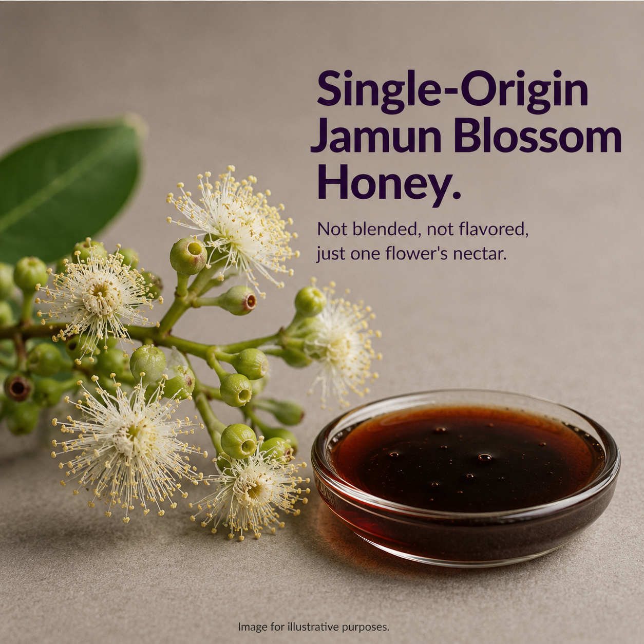 Pure Raw Jamun Honey – Natural Nectar | 100% Unprocessed