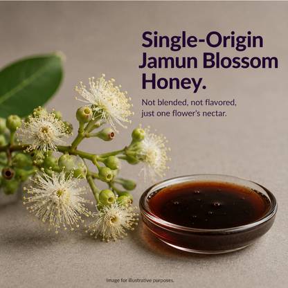 Pure Raw Jamun Honey – Natural Nectar | 100% Unprocessed
