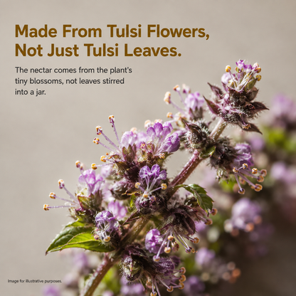 Pure Raw Tulsi Honey – Natural Nectar, Unprocessed - 500gm