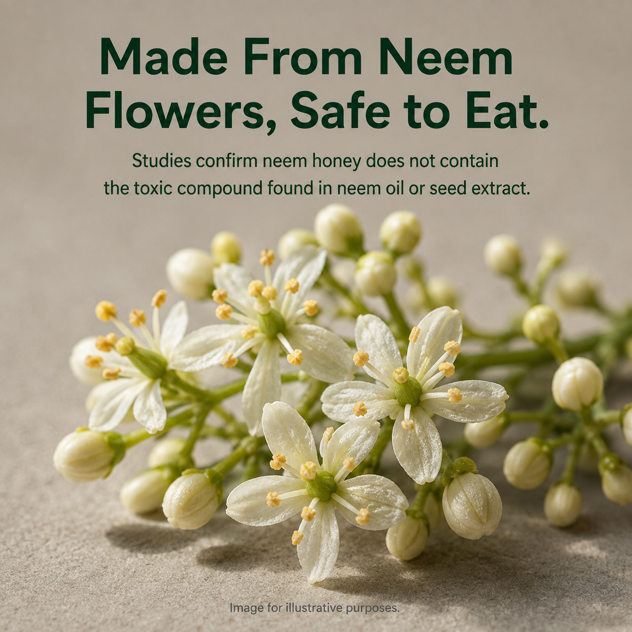 Pure Raw Neem Honey – Natural Nectar, Unprocessed - 250gm