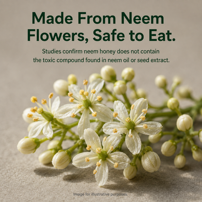 Pure Raw Neem Honey – Natural Nectar, Unprocessed - 250gm