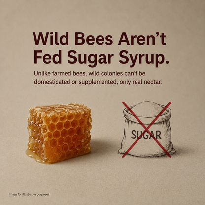 Raw Pure Organic Honey | Wildforest | Affordable 250g by Saarnik Naturals