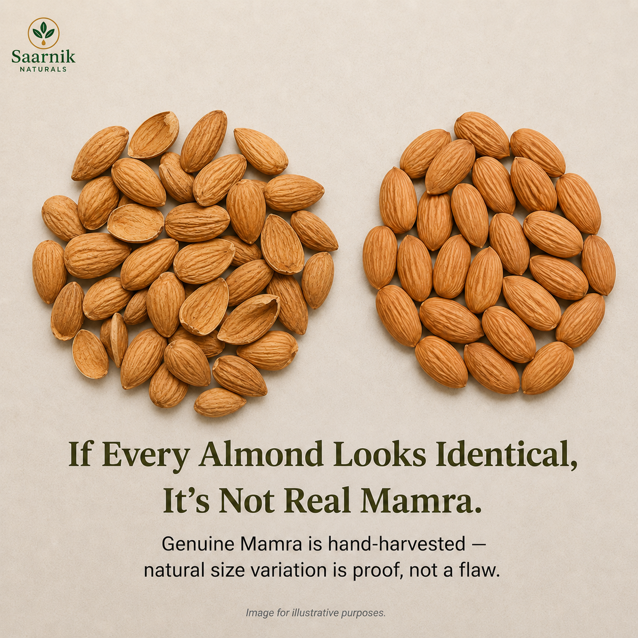 Premium Kashmiri Mamra Almonds | Unpolished Badam for Brain & Heart Health - 250g
