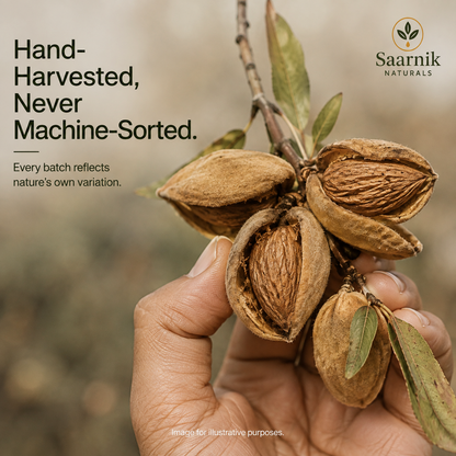 Premium Kashmiri Mamra Almonds | Unpolished Badam for Brain & Heart Health - 250g