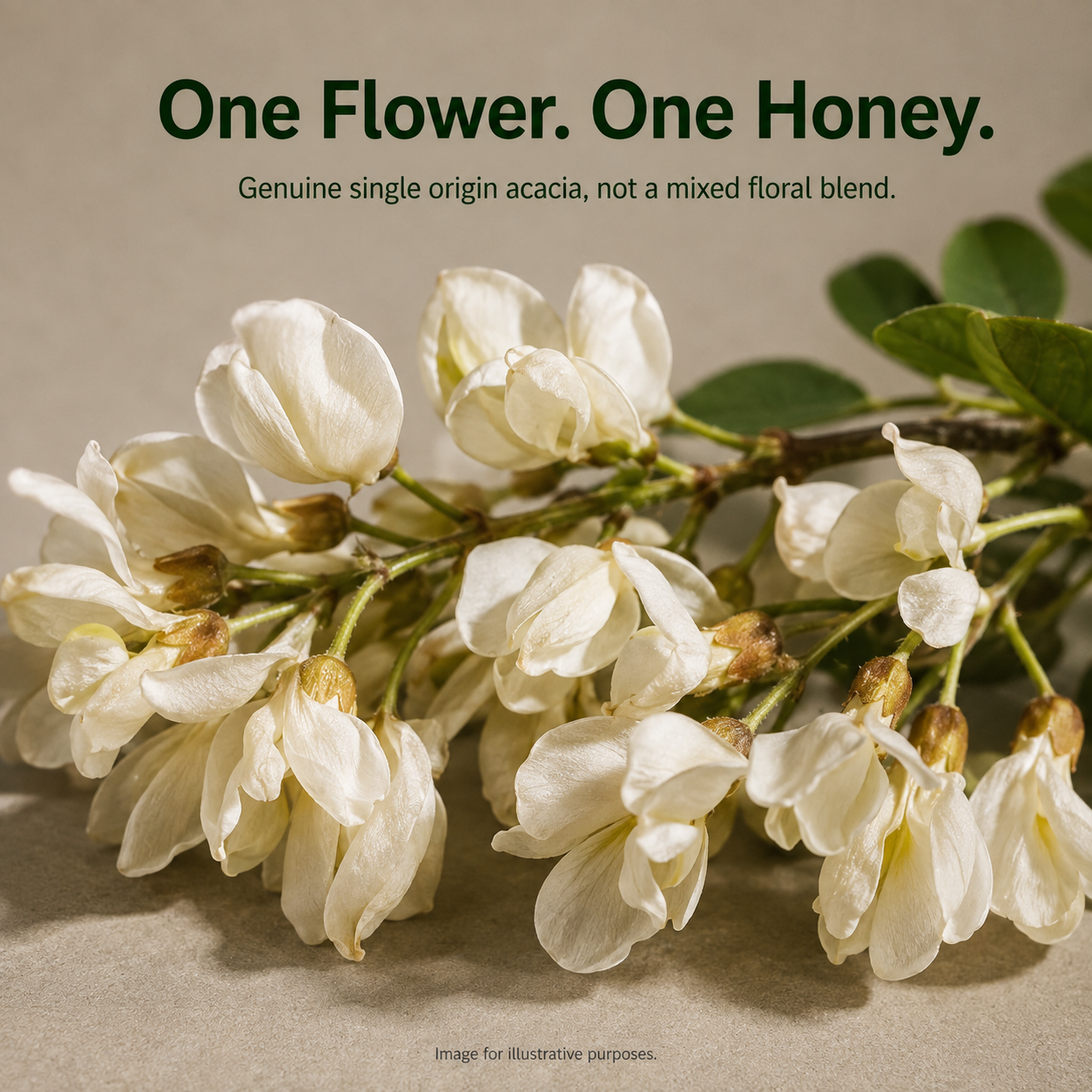 Saarnik Naturals Premium Raw Acacia Honey | Single Flower, Liquid 250gm
